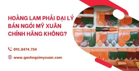 hoang-lam-phai-dai-ly-ban-ngoi-my-xuan-chinh-hang-khong-hinh-1